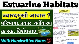 ज्वारदमुखी आवास Estuarine Habitats परिभाषा कारक विशेषताएं ज्वारदमुखी समुदाय Complete In Hindi [upl. by Argela]