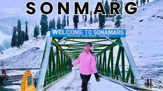 Kashmir Sonmarg Vlog  All Places to Visit  Thajiwas Glacier  Complete Tour Guide [upl. by Minabe]