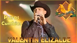 Valentin Elizalde Puras Cumbias  20 Mejor Exitos [upl. by Earahc]