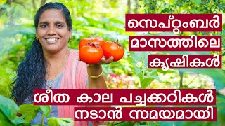 What to plant in September  സെപ്റ്റംബർ മാസത്തിലെ കൃഷികൾ  September Krishi Calendar [upl. by Sillad388]