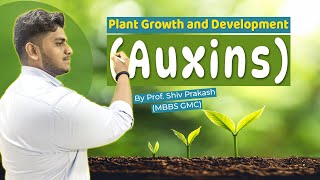 Plant Growth and Development Auxins  IIT JEE amp NEET  Curious Minds IIT amp Medical  Biology Plant [upl. by Killy21]