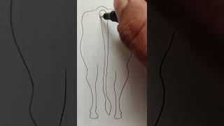 how to draw a cow outline drawing art draw [upl. by Earlie]