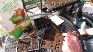 How to Seed Start Beets in Seed Cells Great Cool Weather Vegetables  MFG 2014 [upl. by Bysshe]