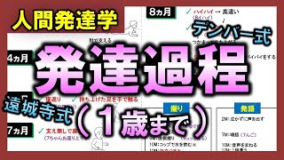 【人間発達学①】１歳までの発達過程（デンバー式・遠城寺式）【理学療法士・作業療法士】 [upl. by Ybbob394]