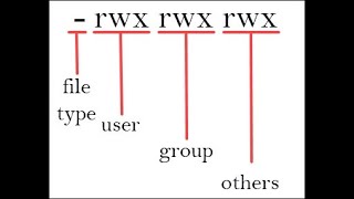 How to use the chmod and chown command [upl. by Milas]