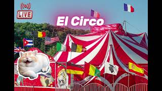 El Circo HumorconAmor chistes Humor Amor [upl. by Gillette]