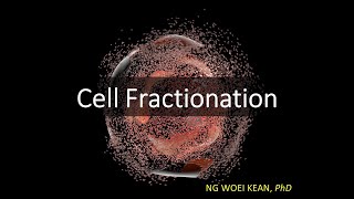 Cell Fractionation Homogenisation  Centrifugation [upl. by Stephani]