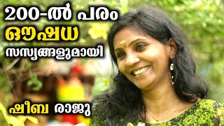 200ൽ പരം ഔഷധ സസ്യങ്ങളുമായി ഷീബ രാജു  Rare Herbal PlantsampMedicinal Plants And Uses [upl. by Musihc396]