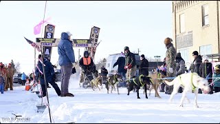 American Dog Derby Day 1 Highlights [upl. by Oirevas208]