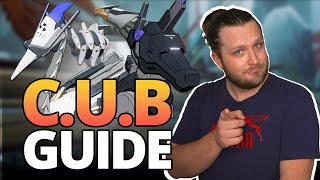 CUB Details You Need To Know Punishing Gray Raven [upl. by Anitnoc]