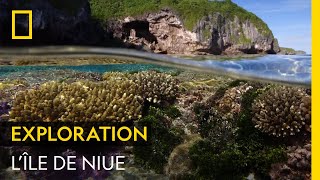 Lîle de Niue un trésor naturel menacé [upl. by Iror920]