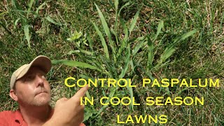 Identify and control paspalum [upl. by Awjan]