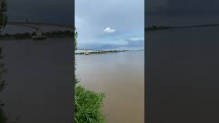 Rio magdalena maganguebolivar Puente roncador [upl. by Fendig]