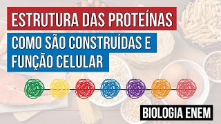 ESTRUTURA DAS PROTEÍNAS como são construídas e função celular  Biologia para o Enem  Cláudia [upl. by Anelleh]