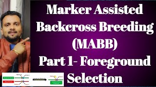 Marker Assisted Backcross Breeding MABBPart 1 Foreground Selection [upl. by Retse99]