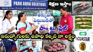 కొర్రమీను చేపల పెంపకంFish farming teluguMurrel fish farm businessKorameenu fish farmingChepalu [upl. by Berkman]