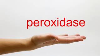 How to Pronounce peroxidase  American English [upl. by Ecnaret]