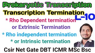 Prokaryotic transcriptionL10 mechanism of termination Rho Dependent amp Rho independent termination [upl. by Ssenav]