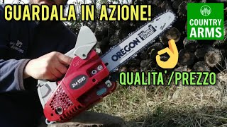 Motosega a scoppio da potatura ZM 2525 con barra e catena Oregon il test [upl. by Philbert972]