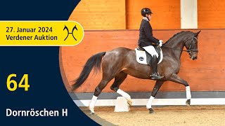 Verden Auction Online  Sporthorses  Jan 27  No 64 Dornröschen H by Don Index  Fabriano [upl. by Lem]