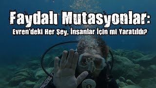 Faydalı Mutasyonlar ve Tasarım İllüzyonu Evrendeki Her Şey İnsanlar İçin mi Var [upl. by Atrebor]