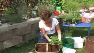 Container Gardening Container Herb Garden [upl. by Ymac]