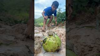 Survival Skills SIMPLE and USEFUL with winter melon bushcraft camping outdoors [upl. by Phaidra560]