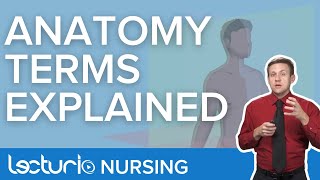 Anatomy Terminology Explained  Lecturio Nursing Anatomy [upl. by Namruht250]