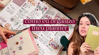 como eu organizo meu PLANNER [upl. by Keary]