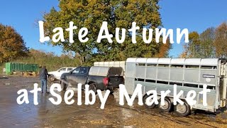 Late Autumn at Selby cattle market [upl. by Akkin]