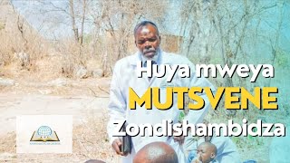 Huya mweya mutsvene zondishambidza Holy spirit come [upl. by Fleisig]