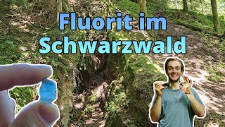 Fluorit im Schwarzwald gefunden  Exkursion Part 3 [upl. by Nosirrah]