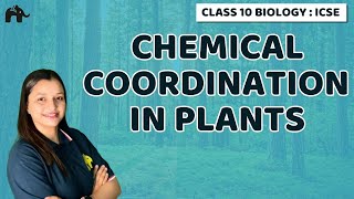 Chemical Coordination in Plants  Chapter 7 Class 10 ICSE Biology  Selina [upl. by Idoj]