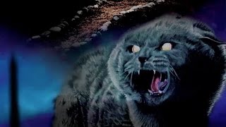 Horror Doc Review Unearthed amp Untold The Path to Pet Sematary [upl. by Atirabrab227]