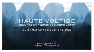 Teaser de lexposition HAUTE VOLTIGE Œuvres en plumes de Maxime Leroy [upl. by Bezanson]