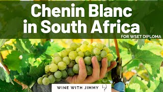 Chenin Blanc in South Africa for WSET Level 4 [upl. by Sewole120]