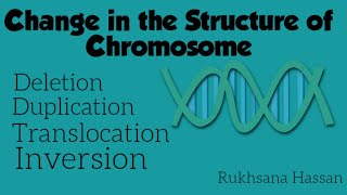 Chromosomal Abnormalities  Structural Changes In Chromosomes [upl. by Ahsaelat491]