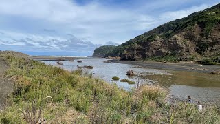 Bethells Beach Te Henga Auckland New Zealand [upl. by Gian]