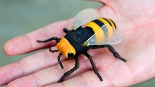 GIGANTIC WASP [upl. by Eelsnia]