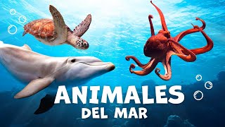 Los animales acuáticos para niños con vídeos  Animales del mar  Vocabulario para niños [upl. by Schecter]