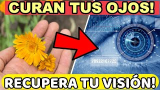 5 Plantas que Mejoran tu VISIÓN de Forma Natural Cuidan tu Vista y OJOS [upl. by Ioved993]