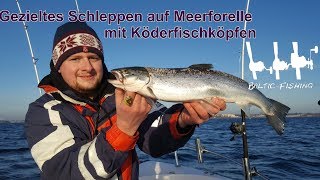 Erfolgreiches Schleppen mit KöderfischBaitholder auf Meerforelle und Lachs MontageEinstellung [upl. by Nea]