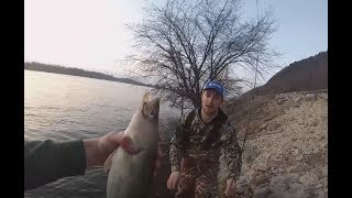 Shore Fishing Mississippi River Walleyes [upl. by Alves]