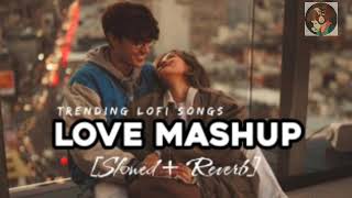 new love mashup mix song in lofi [upl. by Avert]