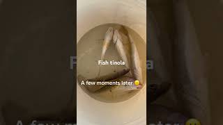 Fish tinolaMelsFamJourney fishtinola fishing fishrecipe [upl. by Cirek373]