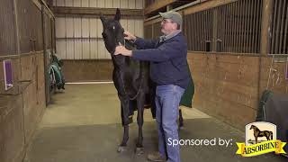 The Masterson Method Lateral Cervical Flexion [upl. by Klayman]