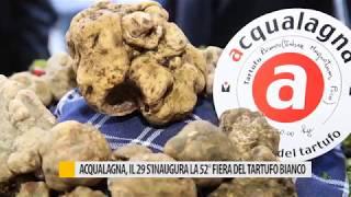 Acqualagna il 29 si inaugura la 52° Fiera del Tartufo Bianco [upl. by Ahsaetan]