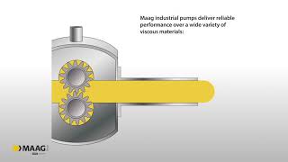 MAAG Gear Pump  Plastec USA Inc [upl. by Dawes]