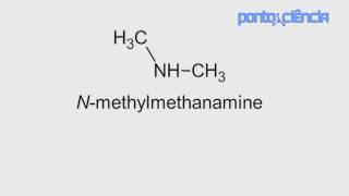 pontociência  Aminas e Amidas [upl. by Angil]