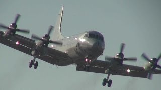 JMSDF P3C Orion  Atsugi Airbase  海上自衛隊P3C オライオン厚木基地 [upl. by Stortz]